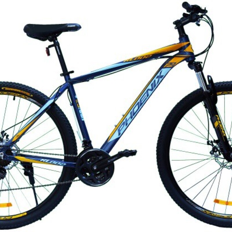Bicicleta Phoenix RL002 R29 — Barraca Dayman