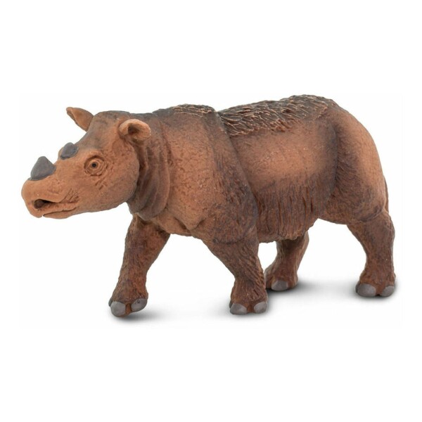 Rinoceronte De Sumatra Safari Figura Escala Muñeco Aniaml Rinoceronte De Sumatra Safari Figura Escala Muñeco Aniaml