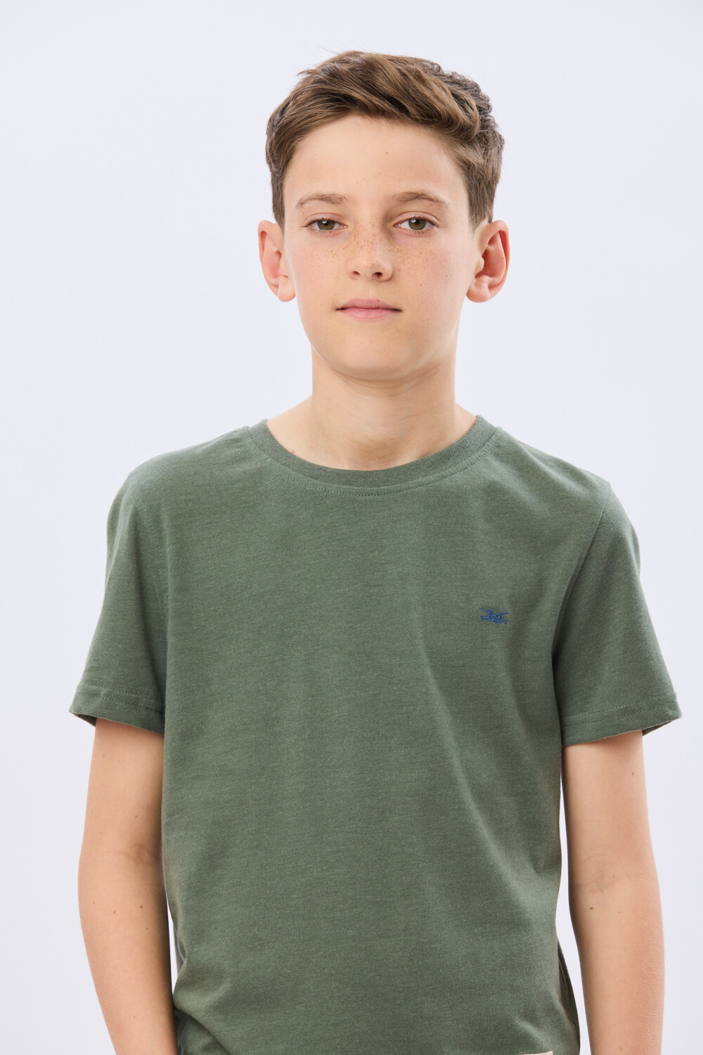 REMERA BÁSICA DE ALGODÓN Verde Melange