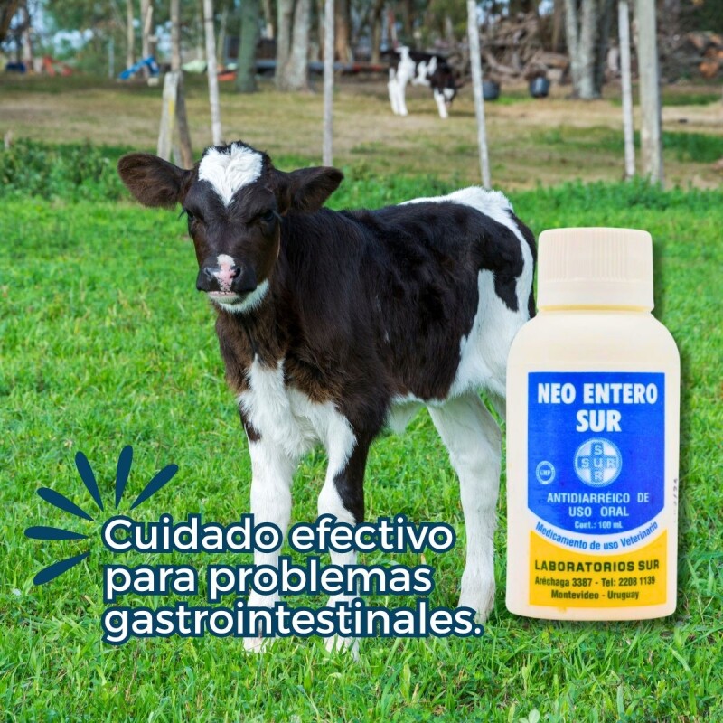 NEO ENTERO SUR 100 ML NEO ENTERO SUR 100 ML