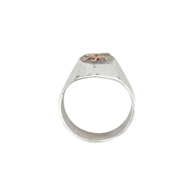 Anillo Profesión Maestra en Primera Infancia -Plata y Oro-Sin Piedra-AP5055 sinpiedra