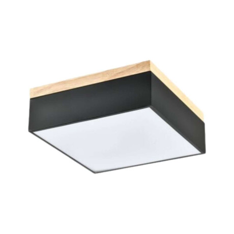 Aplique De Techo Negro