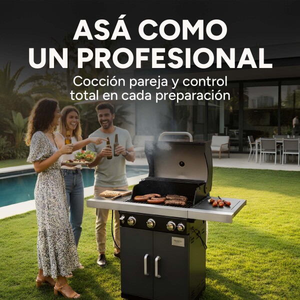 Parrillero Barbacoa A Gas Portátil Patio Jardín Hornalla X4 Color Gris