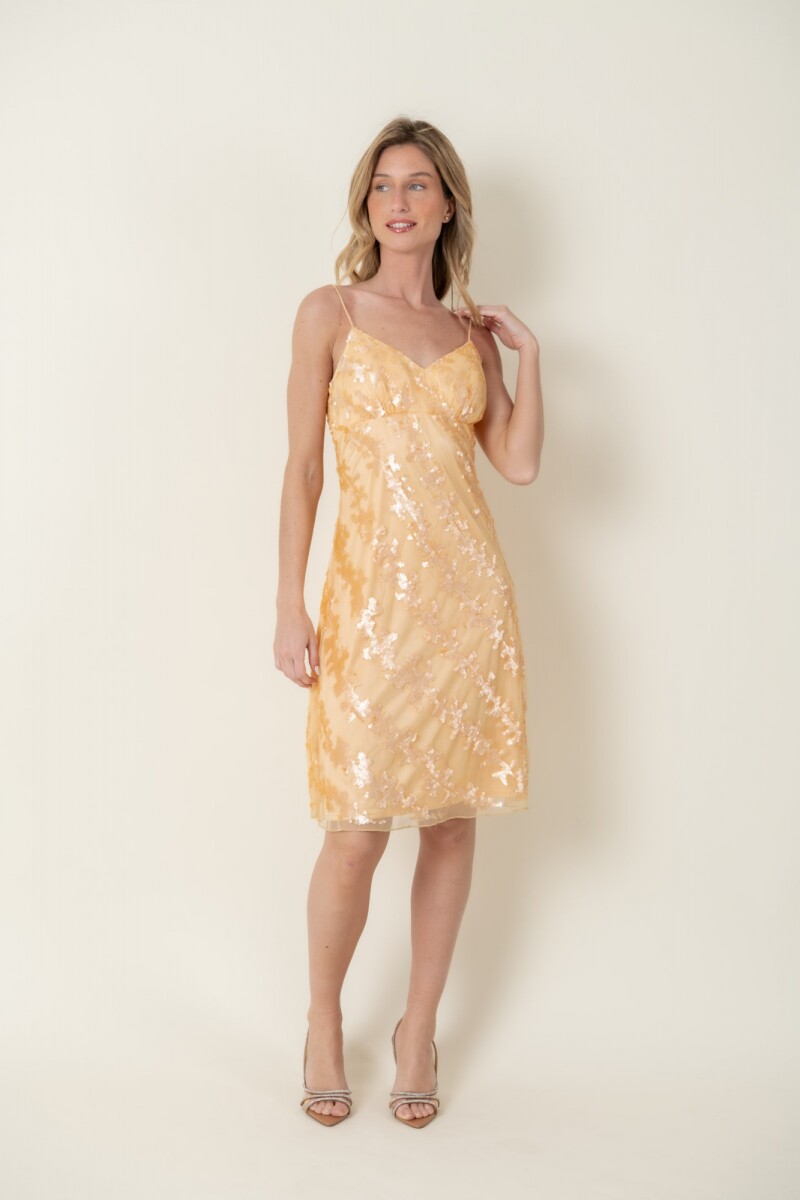 VESTIDO CIRUELO 