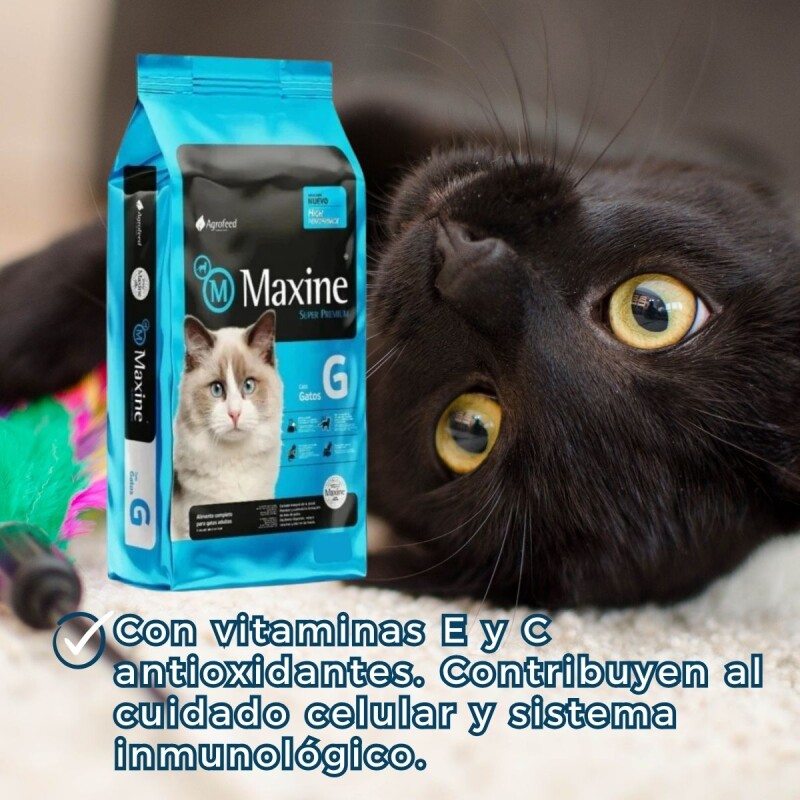 MAXINE GATOS ADULTOS 21 KG