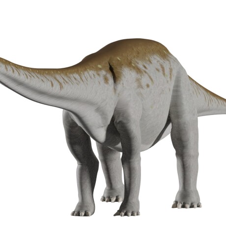 Bloque de dinosaurio apatosaurus