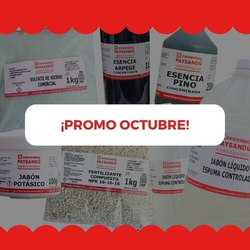 PROMO OCTUBRE
