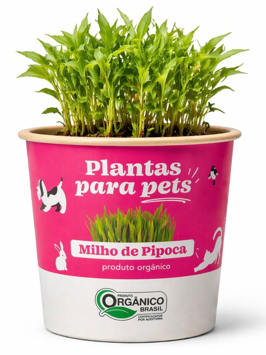 ALIMENTO PARA MASCOTAS ALIMENTO PARA MASCOTAS