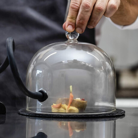 Campana ahumador Campana ahumador