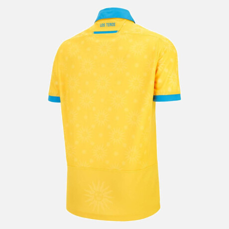 Camiseta alternativa teros 2025/26