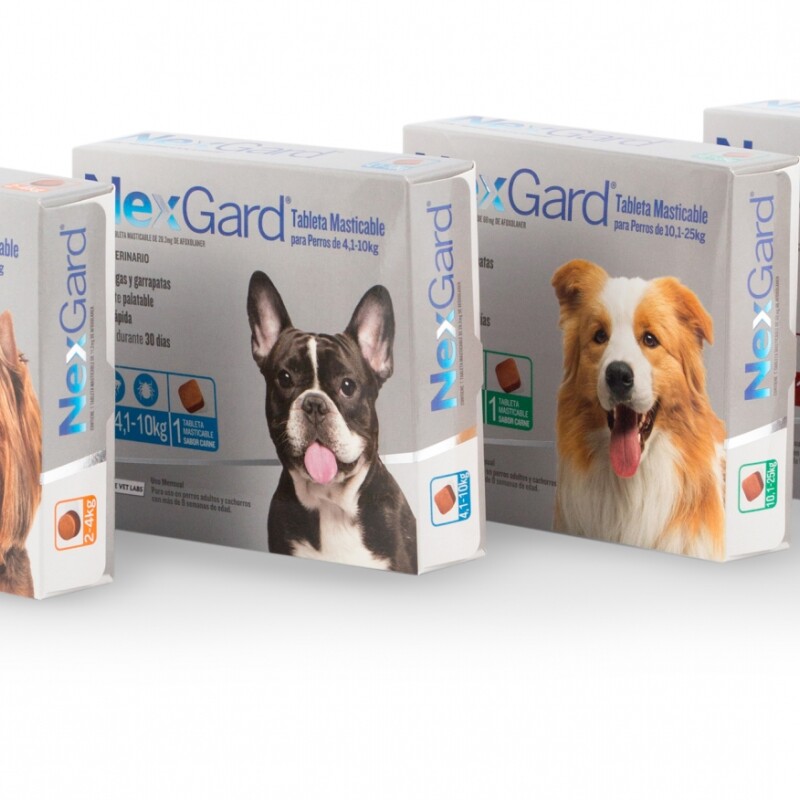 NEXGARD 4 a 10Kg NEXGARD 4 a 10Kg