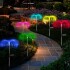 Adorno Jardin Luz Rgb Solar Medusa X2 Estaca Decoracion Adorno Jardin Luz Rgb Solar Medusa X2 Estaca Decoracion