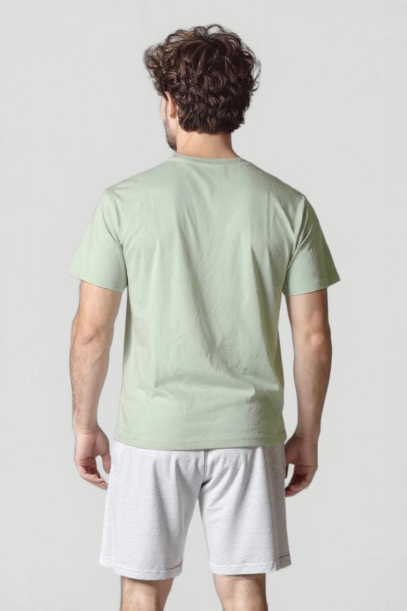 Remera Enzo Verde