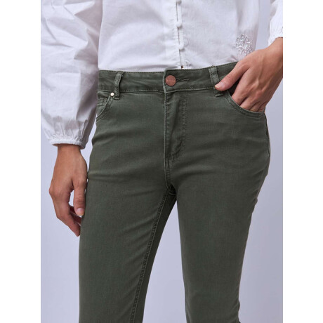 Oxford Ansox Olive
