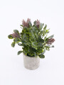 PLANTA CON MACETA BEIGE