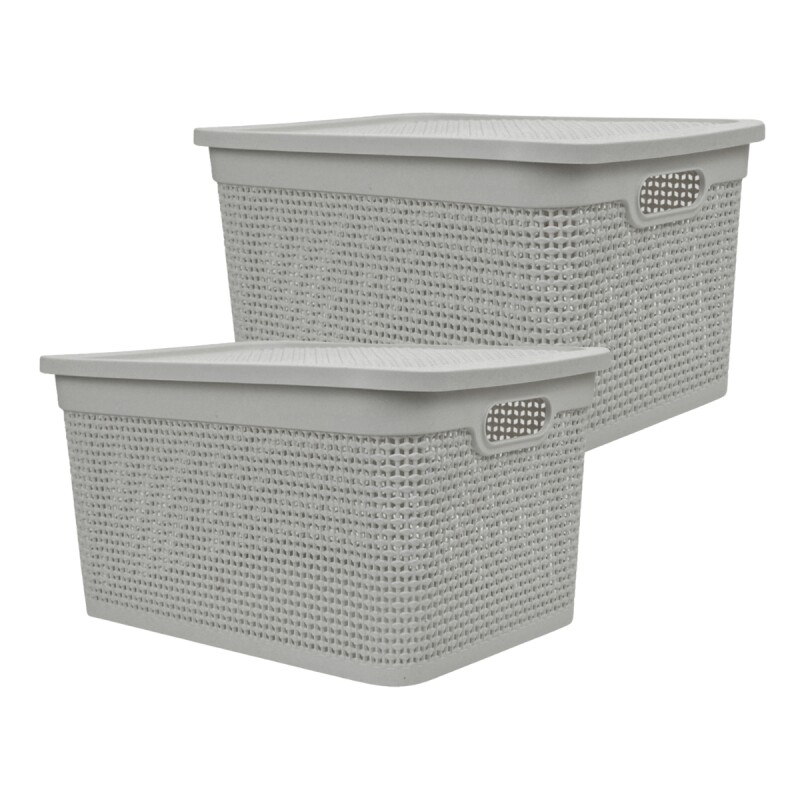 Set x2 Caja simil ratán 25 lts CAPPUCCINO