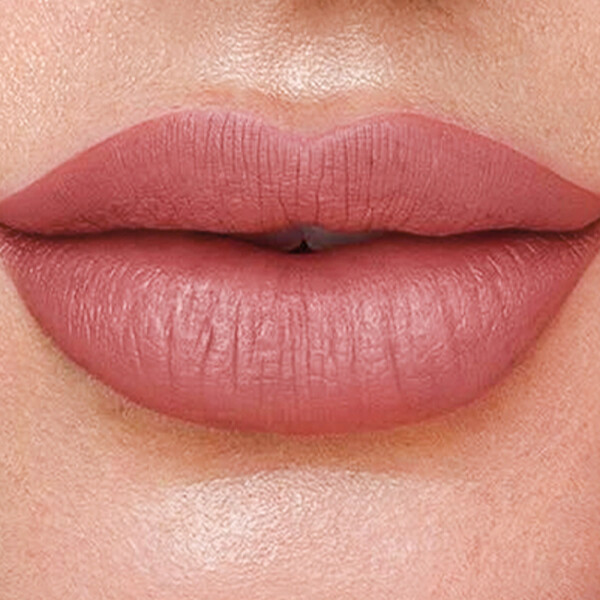 LABIAL PERFECT STAY 100% MATE ARMAND DUPREE SILKY