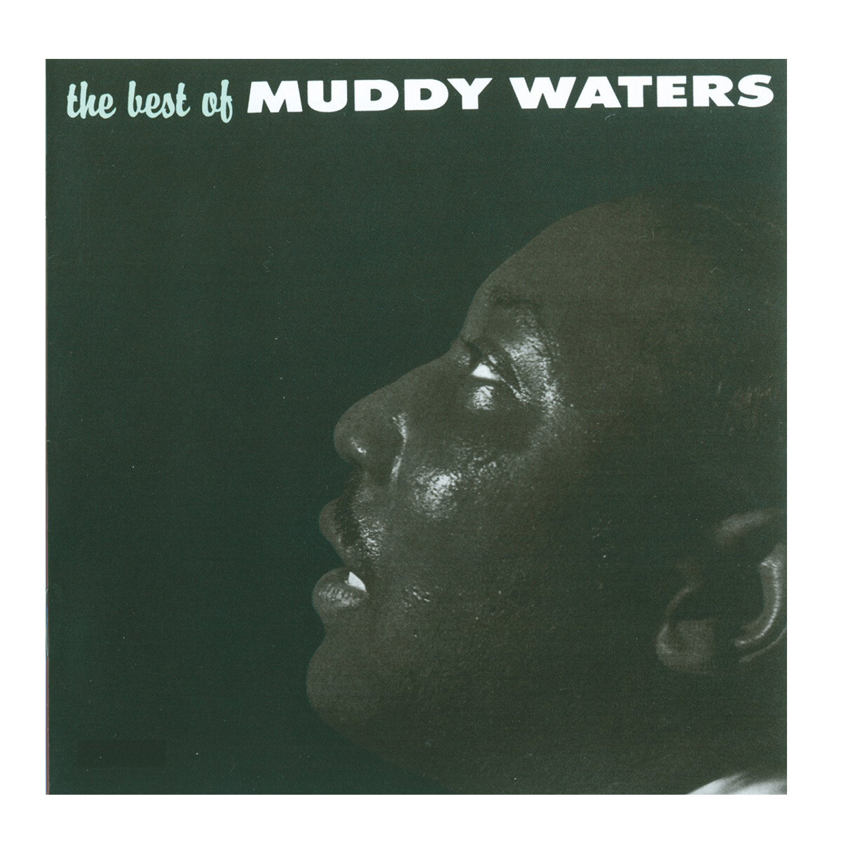 (c) Muddy Waters-best Of Muddy Waters - Vinilo 