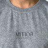 Remera Mítico Centenario - Gris Remera Mítico Centenario - Gris