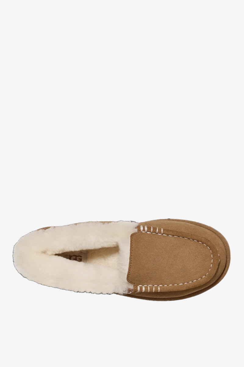 MULE ANSLEY Camel