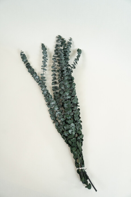 Deco Floral Eucalyptus, Seco Color Unico