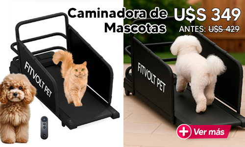 ¡Caminadora de Mascotas en oferta!