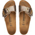 Madrid Big Buckle Bf Graceful Taupe Taupe