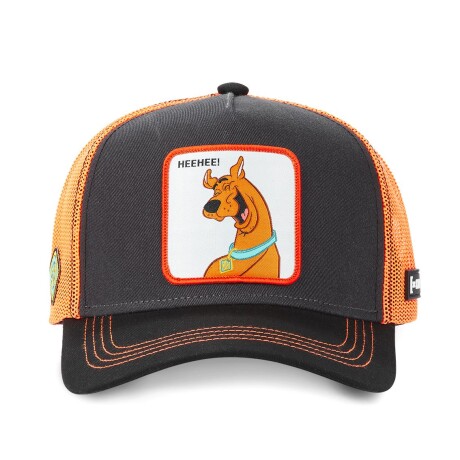 Gorro CapsLab SCOOBY - CLSD11HEE Sin color
