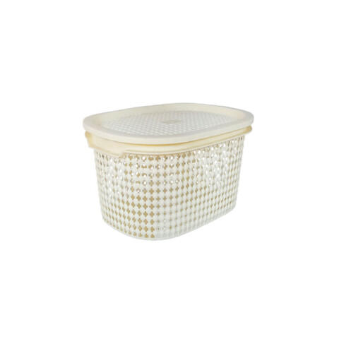 OUTLET Canasto Organizador c/tapa 25.7x19x12cm Outlet Canasto Organizador C/tapa 25.7x19x12cm