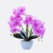 Orquidea Con Maceta Blanca Lila