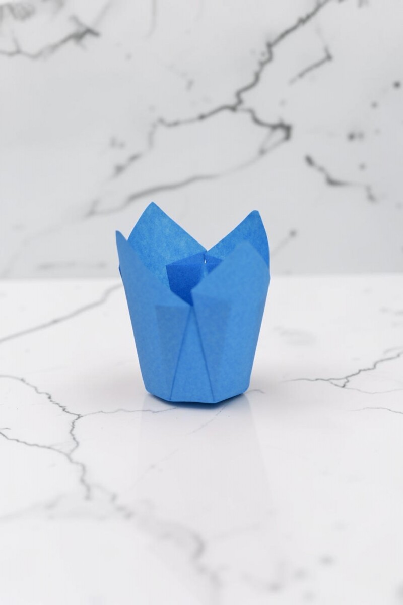 Tulipa 15x5 cm - CELESTE 