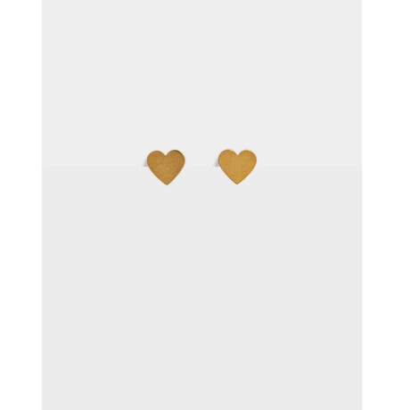 Aros De Acero Quirúrgico Dorado