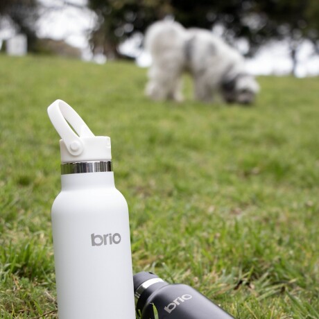 Botella En Acero Inoxidable brio 750ml Con Sorbito Y Manija Blanco