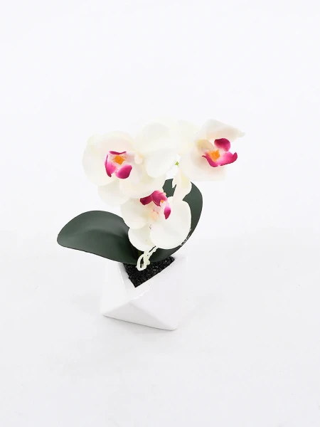 ORQUIDEA ROJO