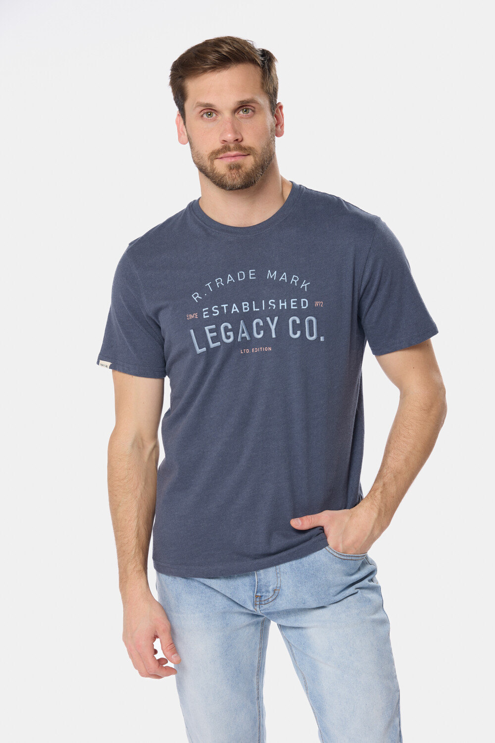 REMERA ESTAMPADA Azul
