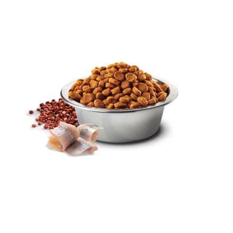 N&D Quinoa Can Skin Pato 10,1 kg N&D Quinoa Can Skin Pato 10,1 kg