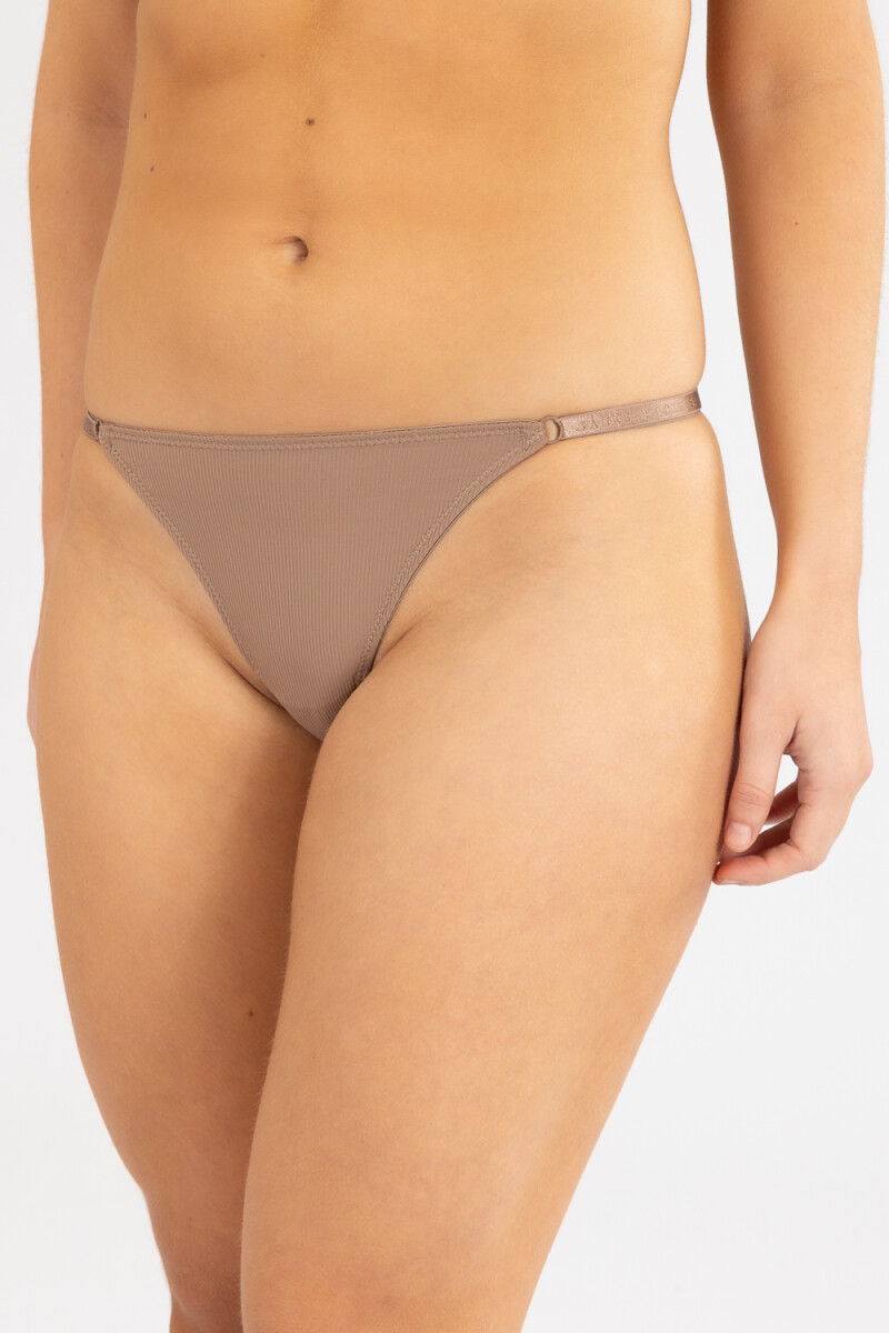 Colaless tiritas sylva - Marron 