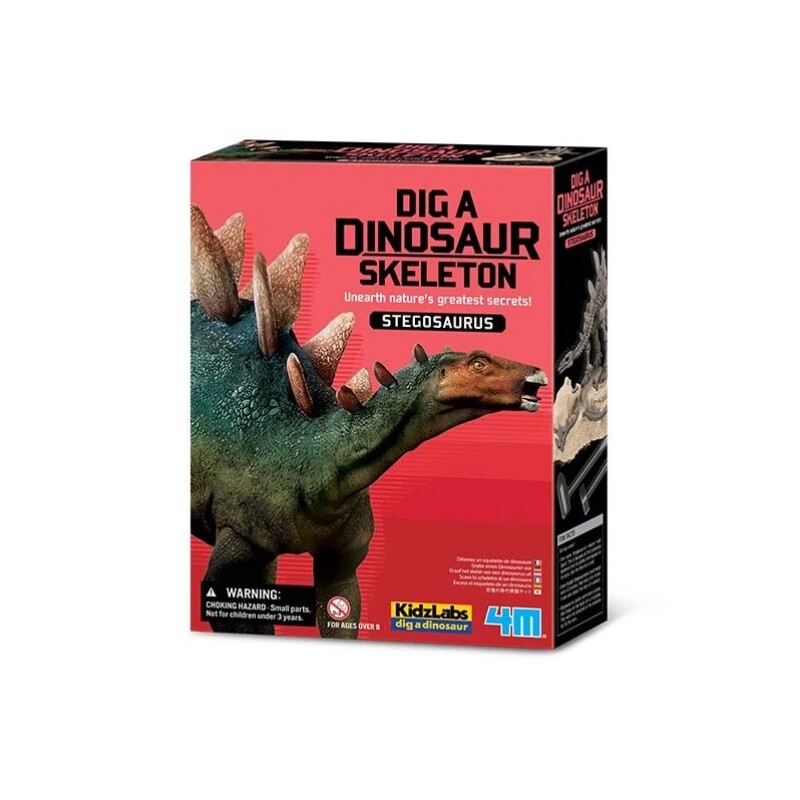 Kit de Excavación – Esqueleto de Stegosaurus KIT EXCAVACION STEGOSAURUS SKELETON