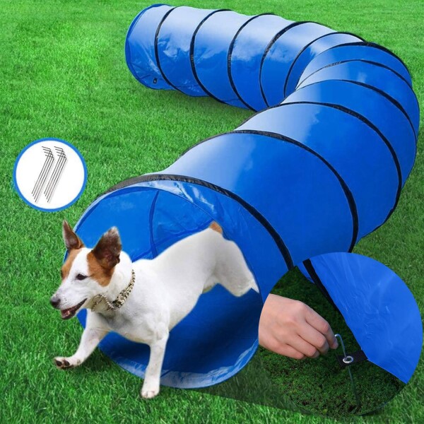 Tunel Gigante Perro Gato Mascota Redondo Tubo Interactivo Variante Color Azul
