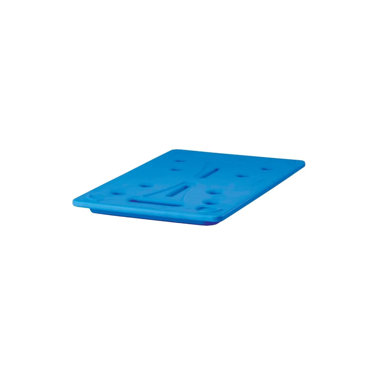 Placa de Frío para Contenedores 53 x 32,5 x 3 cm 