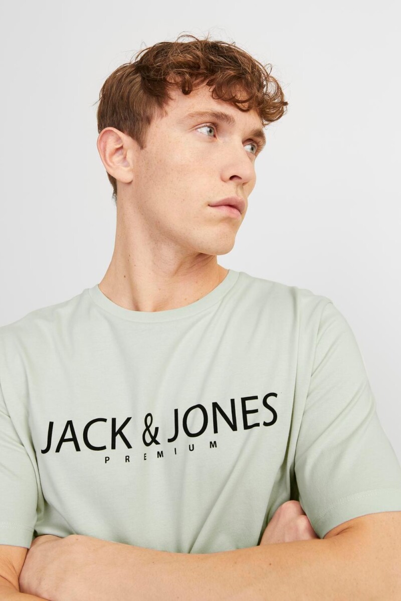 Camiseta Blajack Logo Estampado Green Tint