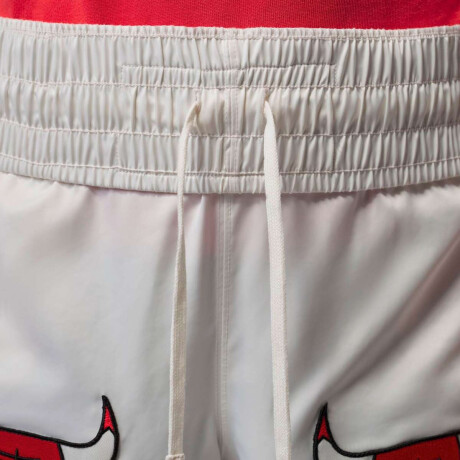 Short Jordan Flight De Hombre Multicolor