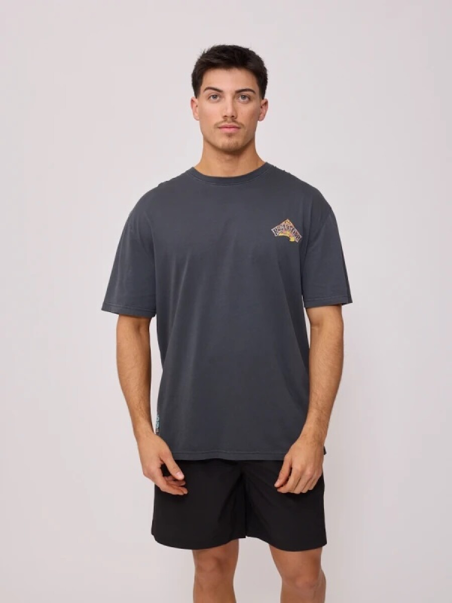 T-SHIRT RUSTY ALORIN - GRIS 