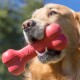 Kong Goodie Bone Large Kong Goodie Bone Large
