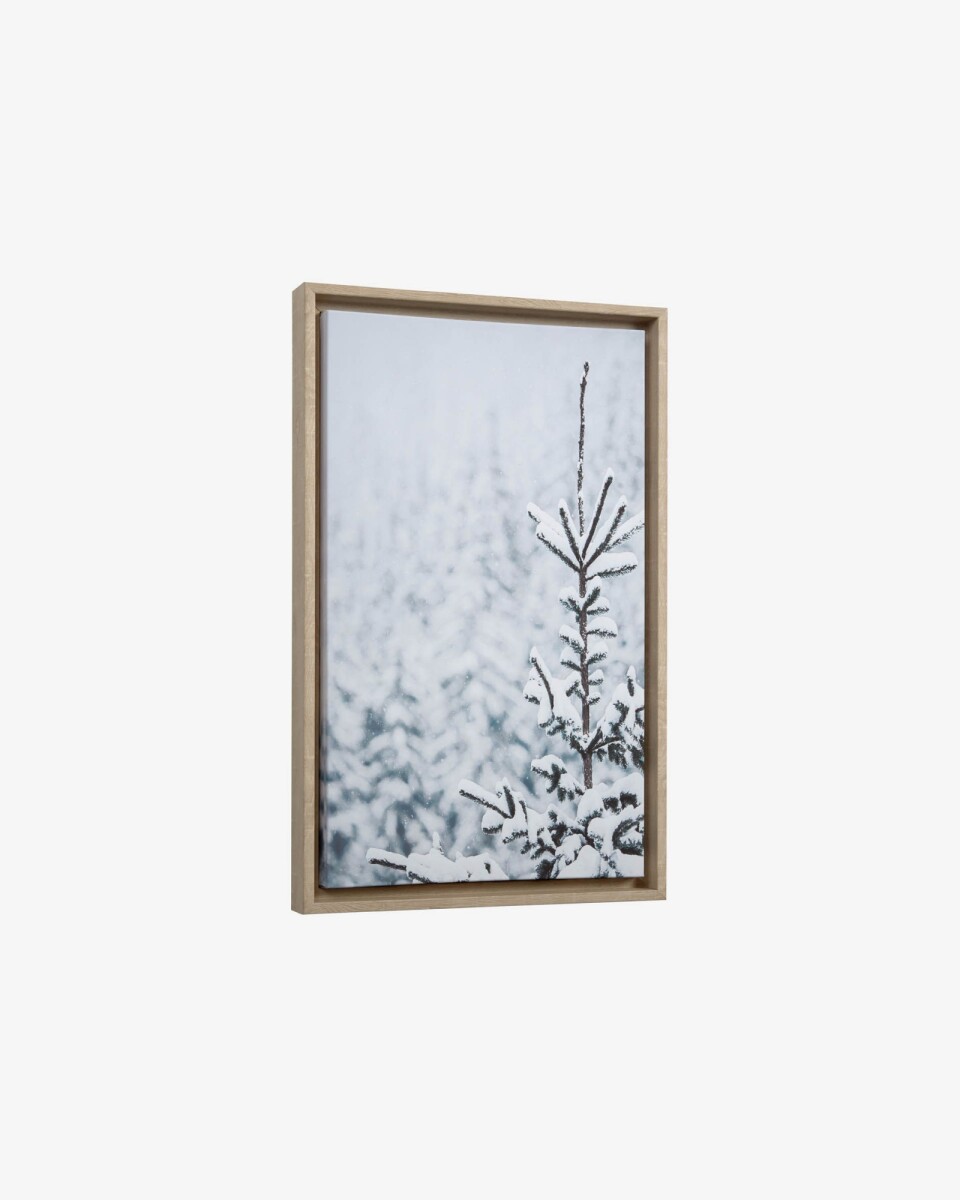 Cuadro Annelise 50 x 30 cm abeto nevado 