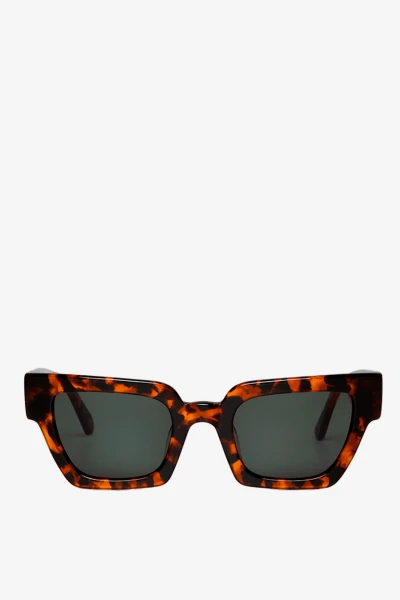 Frelard Cheetah Tortoise Crudo