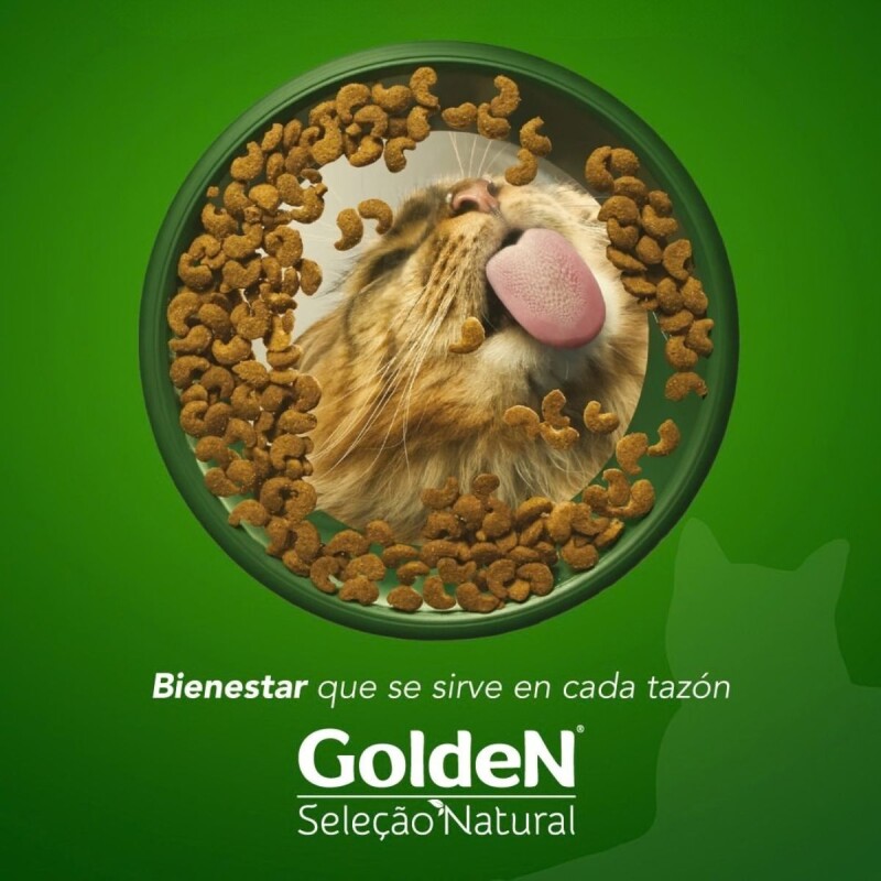 GOLDEN NATURAL GATO CASTRADO CALABAZA Y ROMERO 10.1 KGS GOLDEN NATURAL GATO CASTRADO CALABAZA Y ROMERO 10.1 KGS