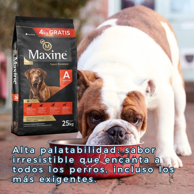 MAXINE PERROS ADULTOS TODAS LAS RAZAS - 21 + 4 KG MAXINE PERROS ADULTOS TODAS LAS RAZAS - 21 + 4 KG