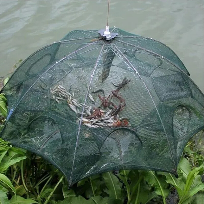 Trampa para mojarras de 6 bocas VERDE