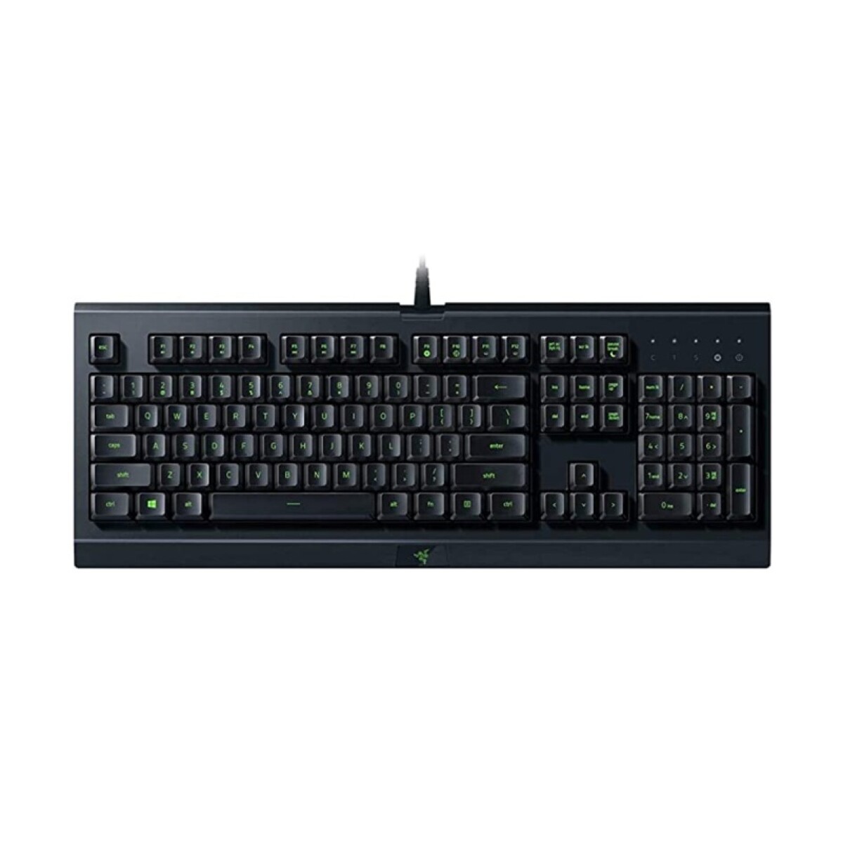 Teclado Razer Cynosa Lite Essential Gaming Español 